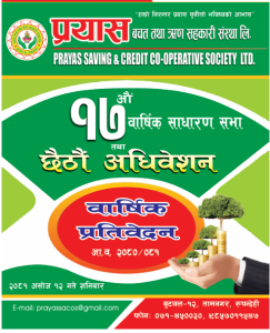 17 th agm report