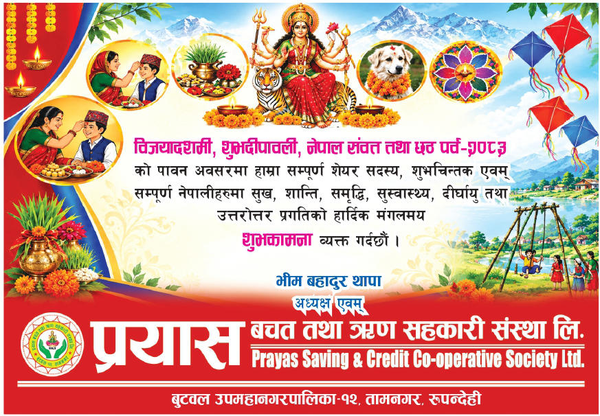 happy dashin