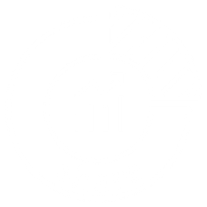 Share icon