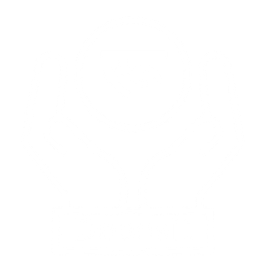 Deposit icon